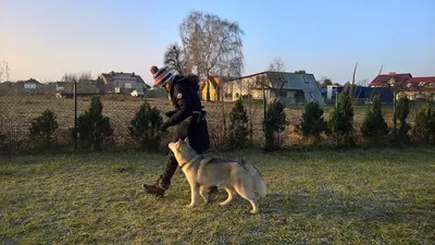 PIĄTY PAZUR Gdańsk